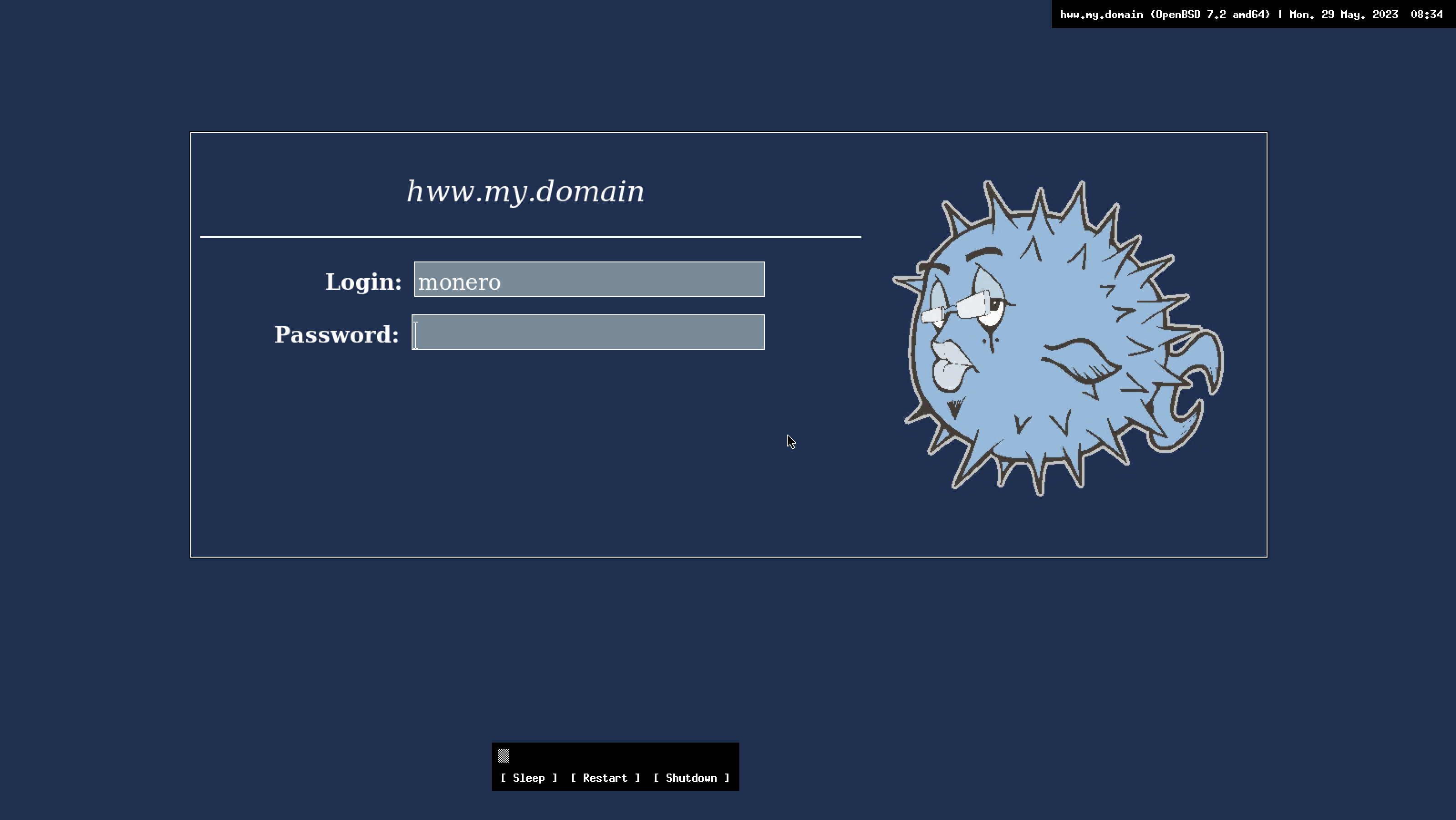 OpenHWW: OpenBSD xenodm login. Type your username and password to login into a system